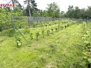 Prodej rodinného domu, Krahulov, 418 m2