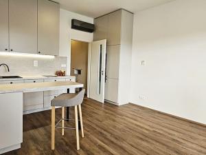 Pronájem bytu 1+kk, Brno, Komárovská, 40 m2