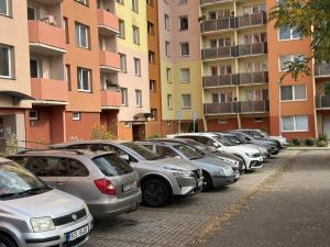 Prodej bytu 4+1, České Budějovice - České Budějovice 2, M. Chlajna, 67 m2