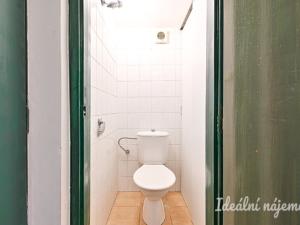 Pronájem bytu 2+kk, Brno - Veveří, Kotlářská, 40 m2