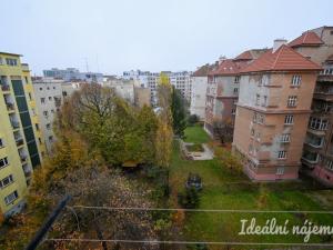 Pronájem bytu 2+kk, Brno - Veveří, Kotlářská, 40 m2