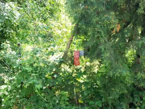 Prodej pozemku pro bydlení, Ostrava - Kunčice, Zdobná, 447 m2