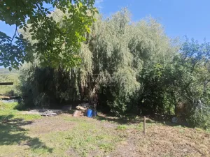 Prodej rodinného domu, Valeč, Jabloňová, 160 m2