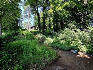 Prodej pozemku pro bydlení, Hrusice, Josefa Lady, 588 m2