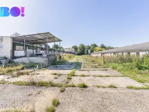 Prodej zemědělského objektu, Horní Kruty, 17219 m2