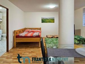 Pronájem bytu 1+kk, Olbramovice, 35 m2