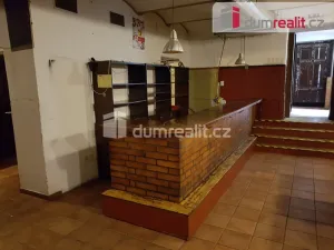 Pronájem komerční nemovitosti, České Budějovice - České Budějovice 6, U Tří lvů, 220 m2