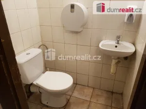 Pronájem komerční nemovitosti, České Budějovice - České Budějovice 6, U Tří lvů, 220 m2