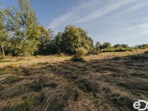 Prodej pozemku pro bydlení, Višňová, 3564 m2