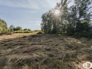 Prodej pozemku pro bydlení, Višňová, 3564 m2