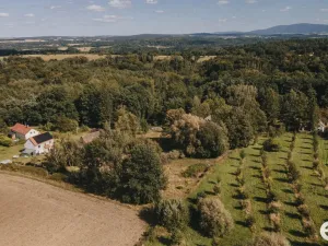 Prodej pozemku pro bydlení, Višňová, 3564 m2