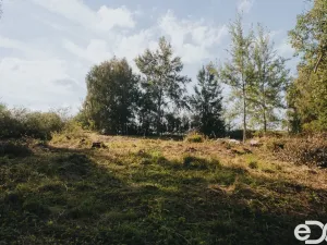 Prodej pozemku pro bydlení, Višňová, 3564 m2