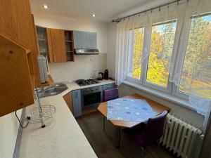 Pronájem bytu 2+1, Chomutov, Marie Pujmanové, 53 m2