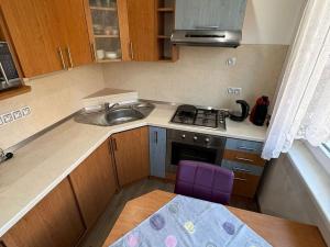 Pronájem bytu 2+1, Chomutov, Marie Pujmanové, 53 m2