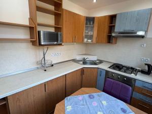 Pronájem bytu 2+1, Chomutov, Marie Pujmanové, 53 m2