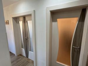 Pronájem bytu 2+1, Chomutov, Marie Pujmanové, 53 m2