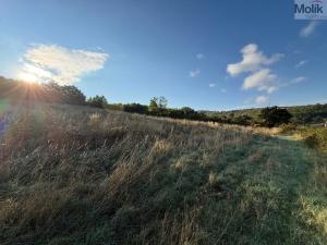 Prodej pozemku pro bydlení, Bžany - Bukovice, 1645 m2