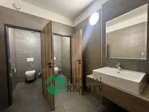 Pronájem výrobních prostor, Herink, Hlavní, 1106 m2