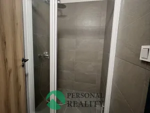 Pronájem výrobních prostor, Herink, Hlavní, 1106 m2