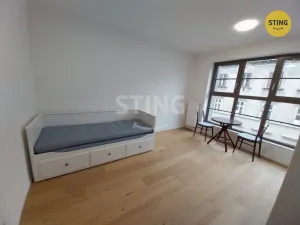 Pronájem bytu 1+kk, Brno, Bratislavská, 23 m2
