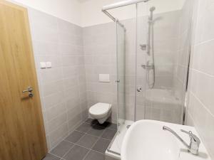 Pronájem bytu 2+kk, Havířov, Dlouhá třída, 44 m2