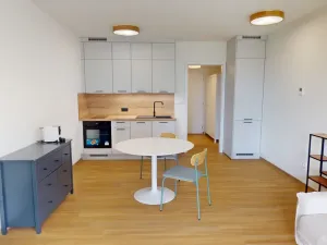 Pronájem bytu 1+kk, Ostrava, U Hájenky, 34 m2