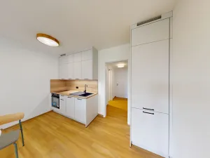 Pronájem bytu 1+kk, Ostrava, U Hájenky, 34 m2