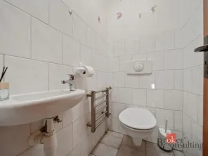 Prodej rodinného domu, Dubenec, 250 m2