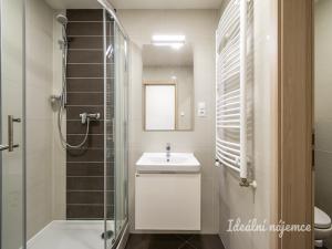 Pronájem bytu 1+kk, Praha - Vršovice, Novgorodská, 37 m2