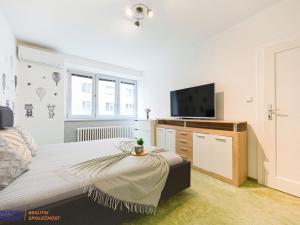 Prodej bytu 2+kk, Brno, Tábor, 49 m2