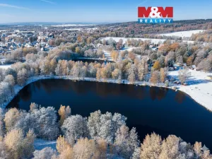 Prodej rybníku, Nové Město pod Smrkem, 28832 m2