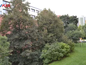 Prodej bytu 2+1, Praha - Žižkov, Na vrcholu, 52 m2