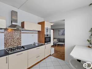 Prodej bytu 1+1, Mladá Boleslav, Jana Palacha, 43 m2