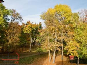 Prodej bytu 3+1, Litvínov - Horní Litvínov, U Zámeckého parku, 59 m2