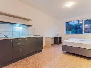 Pronájem apartmánu, Praha - Smíchov, Křížová, 27 m2