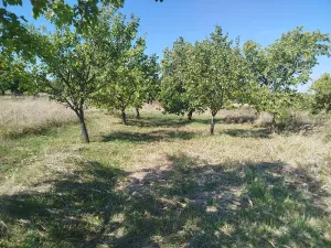 Prodej zahrady, Velké Pavlovice, 449 m2