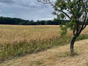 Prodej pozemku pro bydlení, Hřibiny-Ledská, 1109 m2