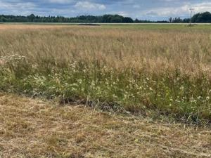 Prodej pozemku pro bydlení, Hřibiny-Ledská, 1109 m2