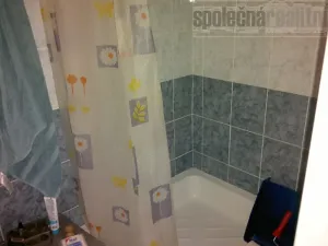Pronájem bytu 1+1, Holubice, U Parku, 40 m2