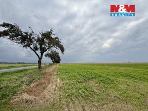 Prodej pole, Slavětín nad Metují, 55680 m2