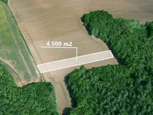 Prodej pole, Prusy-Boškůvky, 4500 m2