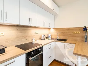 Pronájem bytu 1+kk, Praha - Vinohrady, Perucká, 26 m2