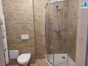 Pronájem bytu 2+kk, Janovice nad Úhlavou, Rozvojová zóna, 41 m2