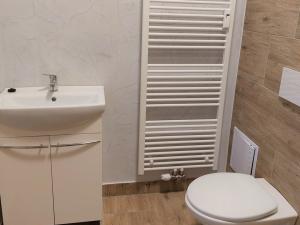 Pronájem bytu 2+kk, Janovice nad Úhlavou, Rozvojová zóna, 41 m2