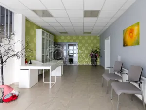 Pronájem bytu 1+kk, Starý Jičín - Vlčnov, 49 m2
