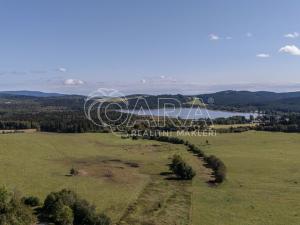 Prodej zemědělské usedlosti, Horní Planá - Hodňov, 617 m2