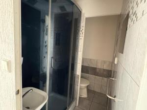 Pronájem bytu 1+1, Duchcov, Osecká, 39 m2