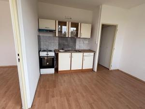 Pronájem bytu 1+1, Duchcov, Osecká, 39 m2