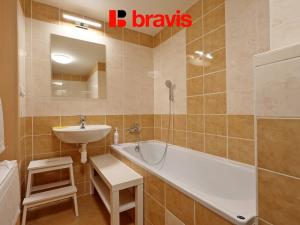 Pronájem bytu 1+1, Brno - Veveří, Mezírka, 40 m2