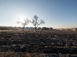 Prodej pozemku pro bydlení, Syrovice, 416 m2